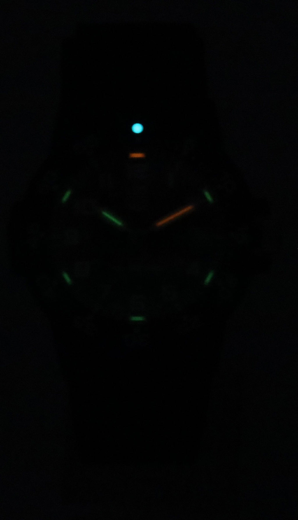 Luminox Leatherback Sea Turtle Silicone Strap Black Dial Quartz XS.0301.L 100M Men's Watch