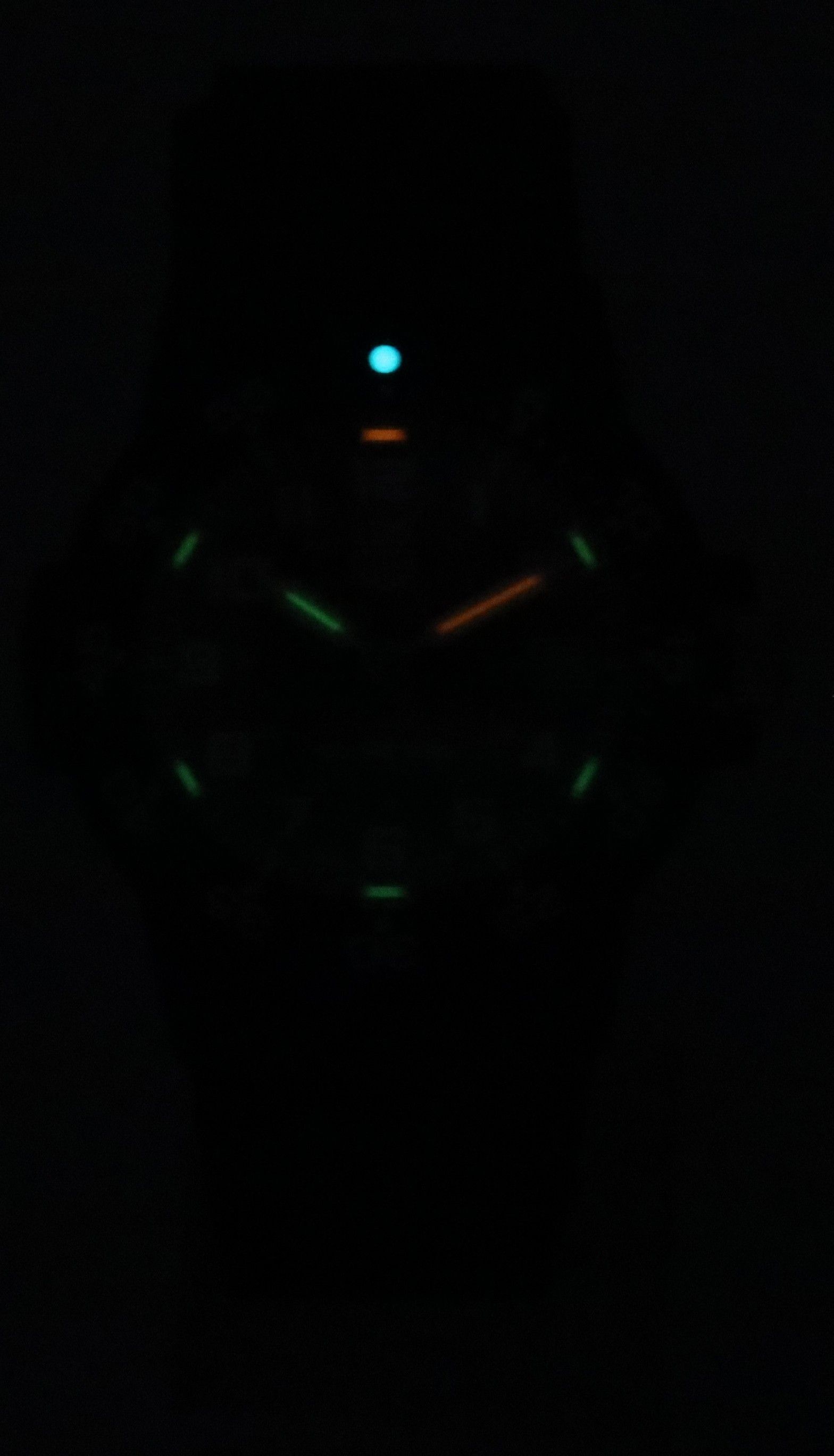Luminox Leatherback Sea Turtle Silicone Strap Black Dial Quartz XS.0301.L 100M Men's Watch