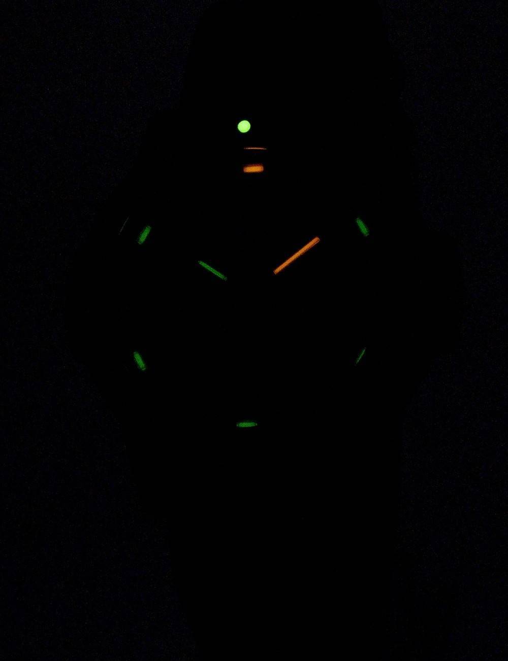 Luminox Leatherback Sea Turtle XS.0333 Quartz Men's Watch
