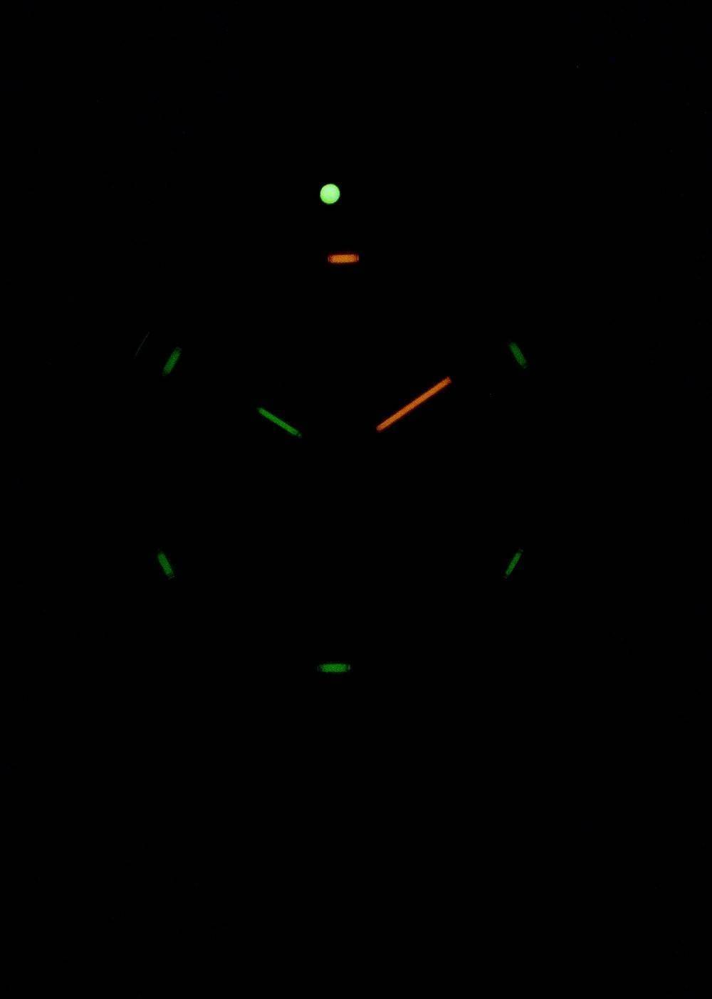 Luminox Leatherback Sea Turtle XS.0337 Quartz Men's Watch